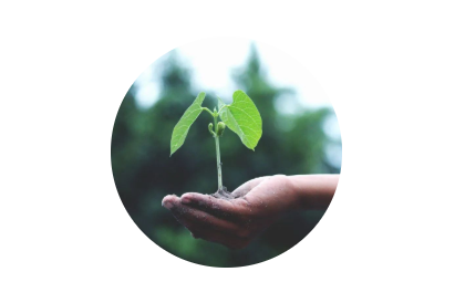 520·健康植保日丨擁抱綠色農(nóng)業(yè)，暢享健康生活